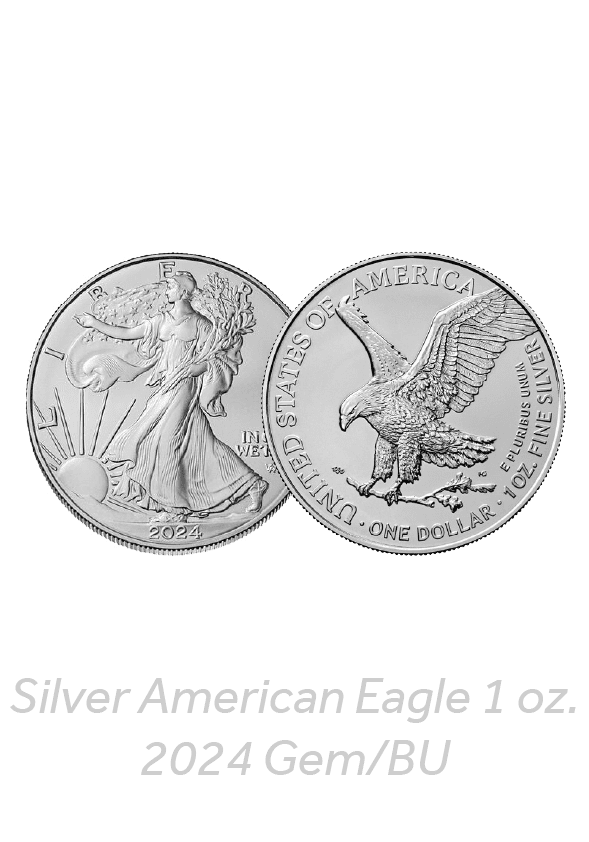 Dedollarize_Asset Risk Page_Assets-27